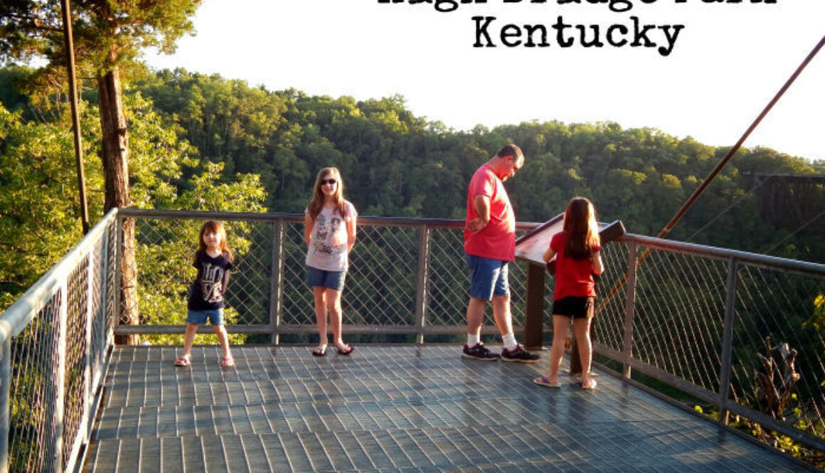 High Bridge Kentucky Scenic Overlook