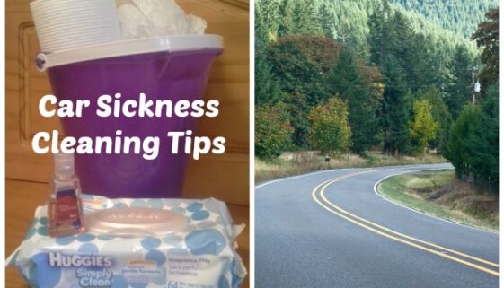 car sickness cleaning tips