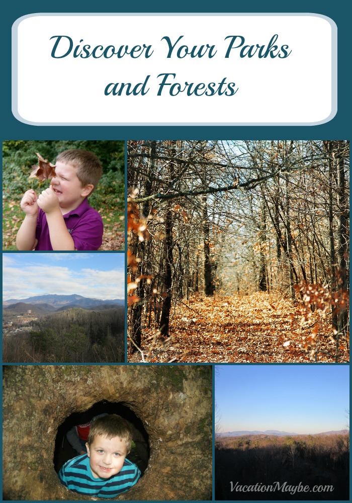 Discover Your Parks and Forests