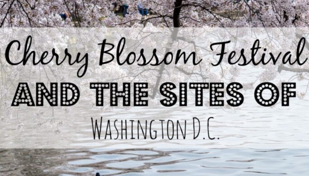 Cherry Blossom Festival and the sites in Washington DC