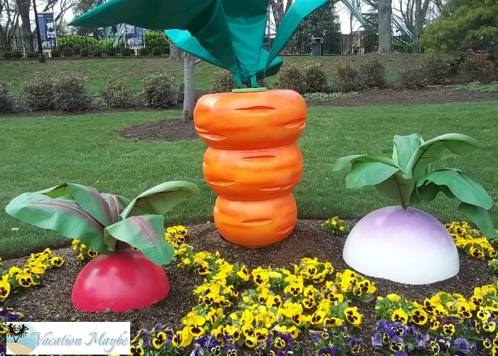 Spring Bloom Festival at Kings Dominion vegetables