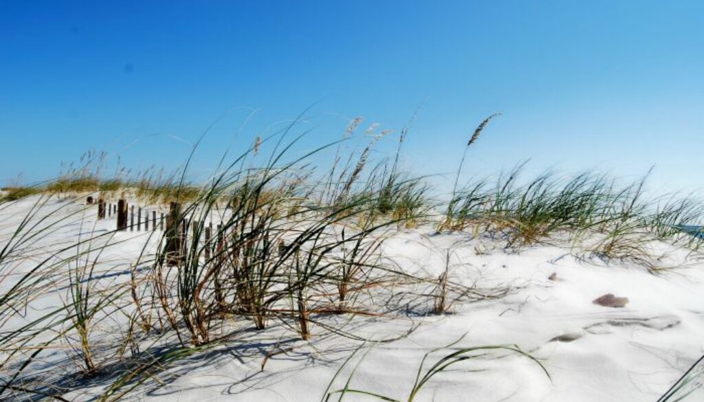 Alabama beaches white sand