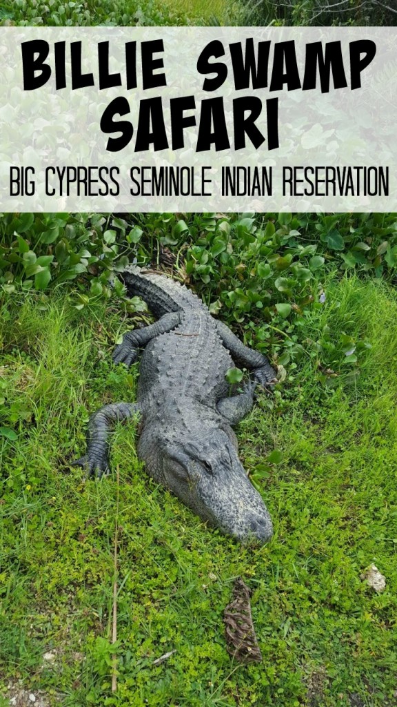 Billie Swamp Safari on the Big Cypress Seminole Indian Reservation
