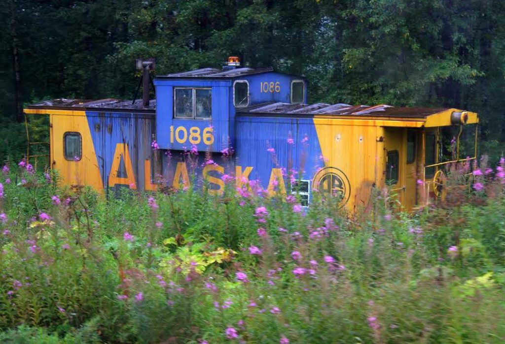 Nestled by a field of purple flowers, this train car symbolizes the hidden perhaps unknown is a better word, beauty of Alaska