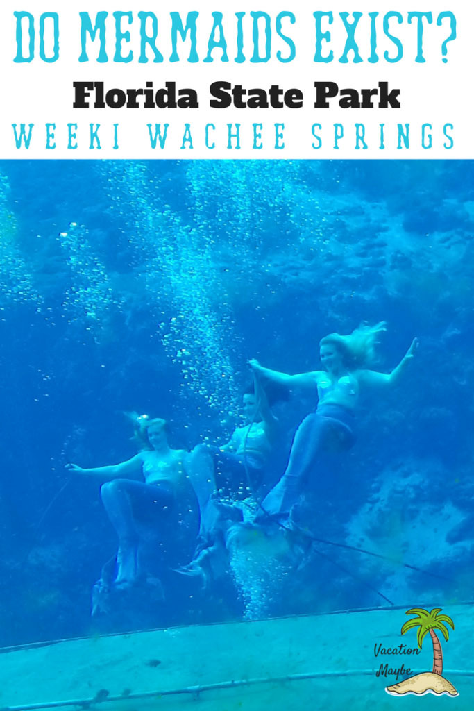 Find a Real Mermaid when you visit Weeki Wachee Springs State Park in Florida! A great family friendly destination with fun in the water for the family!